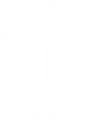 Caav Logo