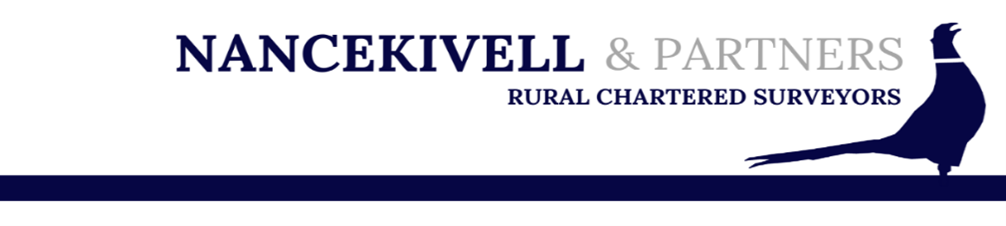 Long Logo 3